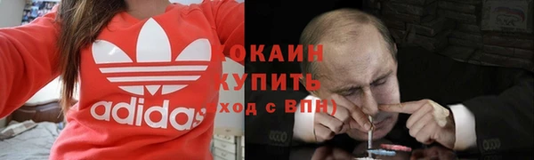 сатива Абдулино