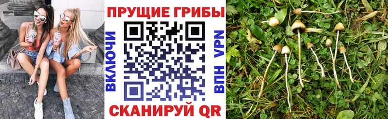 Галлюциногенные грибы мицелий  Мыски 